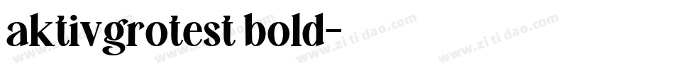 aktivgrotest bold字体转换